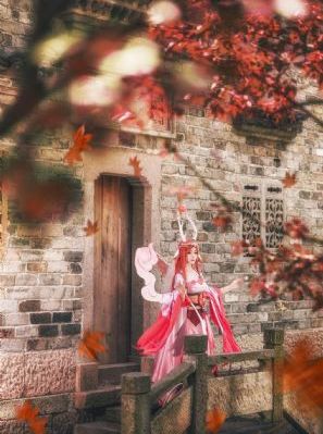 特黄级AAAAA片免费-免费完整视频观看